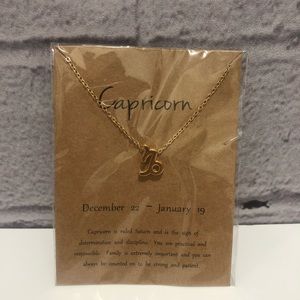 Capricorn Necklace